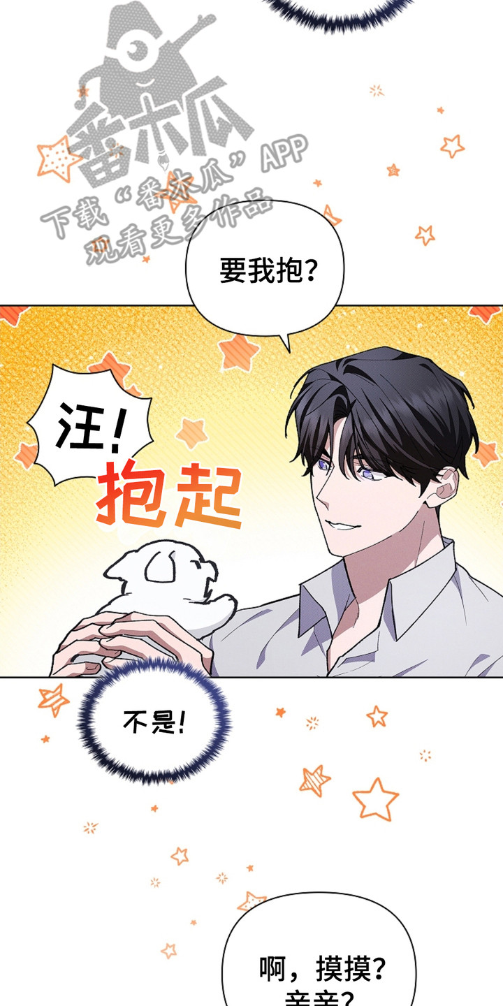 小白狗奇遇记韩漫免费观看全集漫画,第18话2图