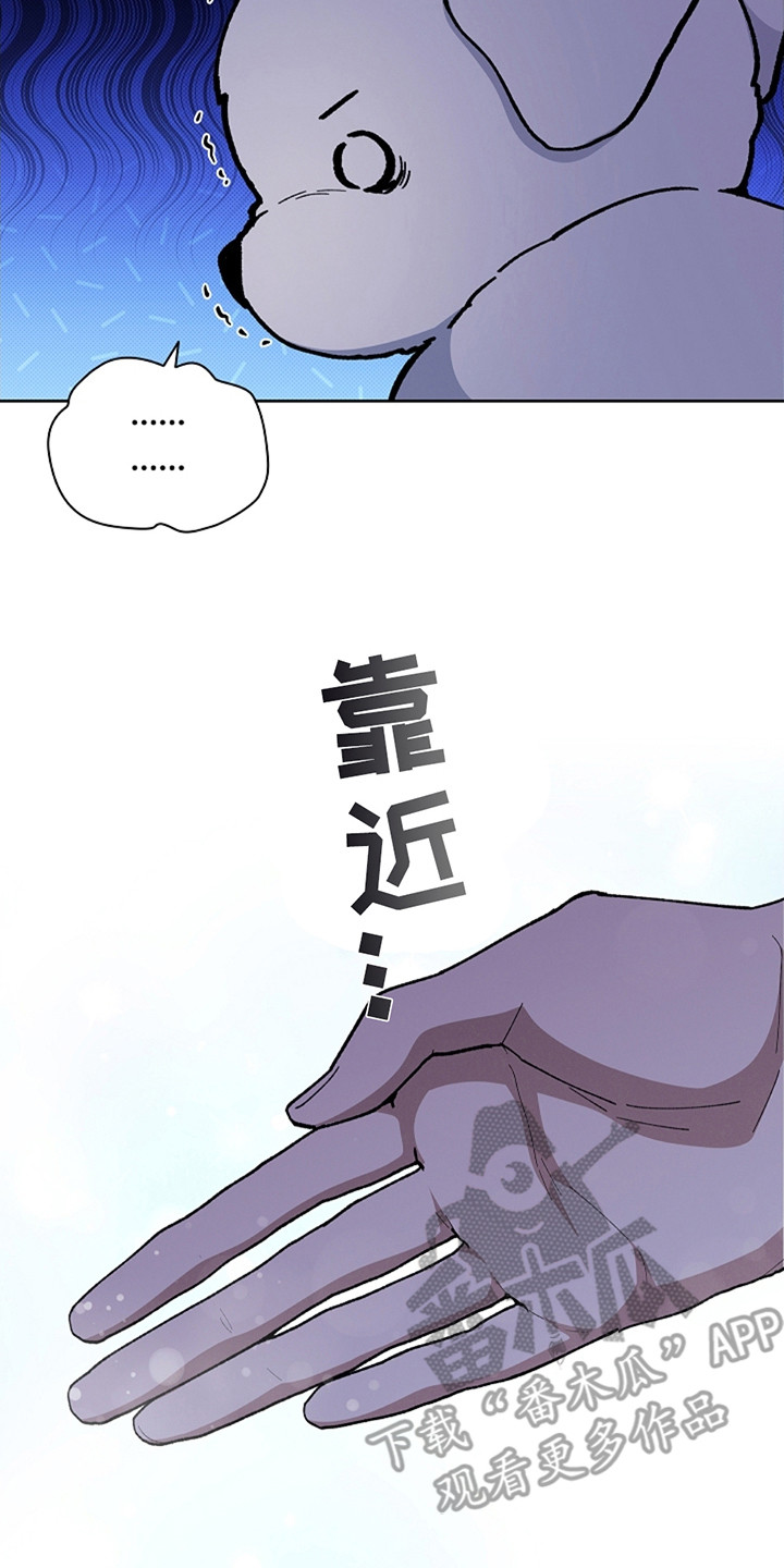 小白狗奇遇记韩漫免费观看全集漫画,第12话2图
