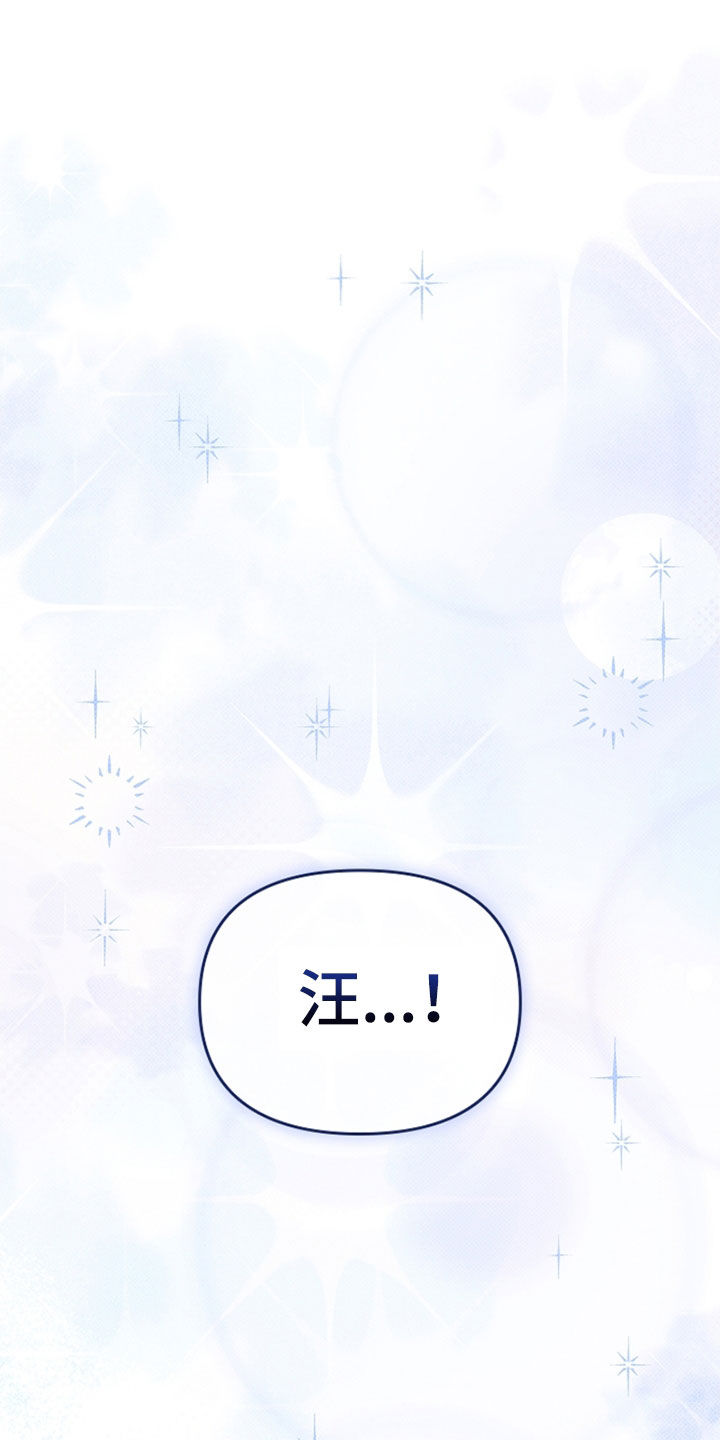 小白狗奇遇记韩漫免费观看全集漫画,第48话1图