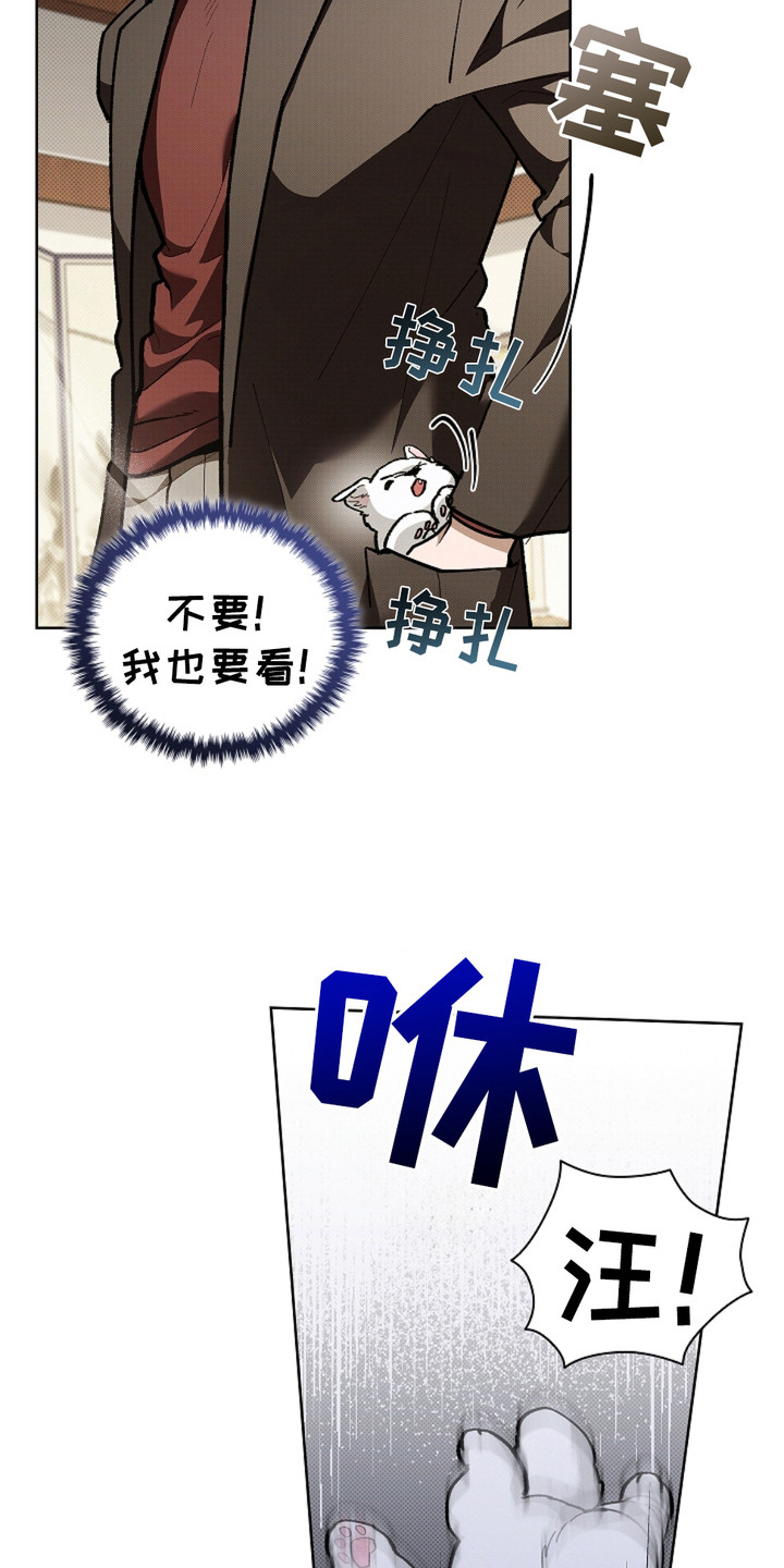 小白狗奇遇记韩漫免费观看全集漫画,第17话2图