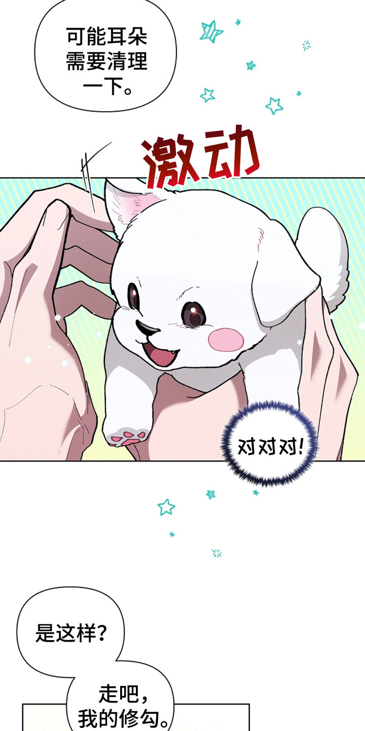 小白狗奇遇记韩漫免费观看全集漫画,第19话2图