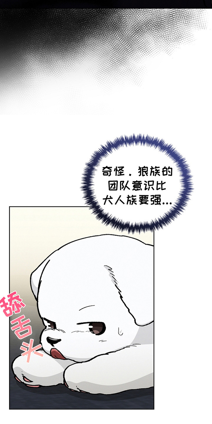 小白狗奇遇记韩漫免费观看全集漫画,第23话1图