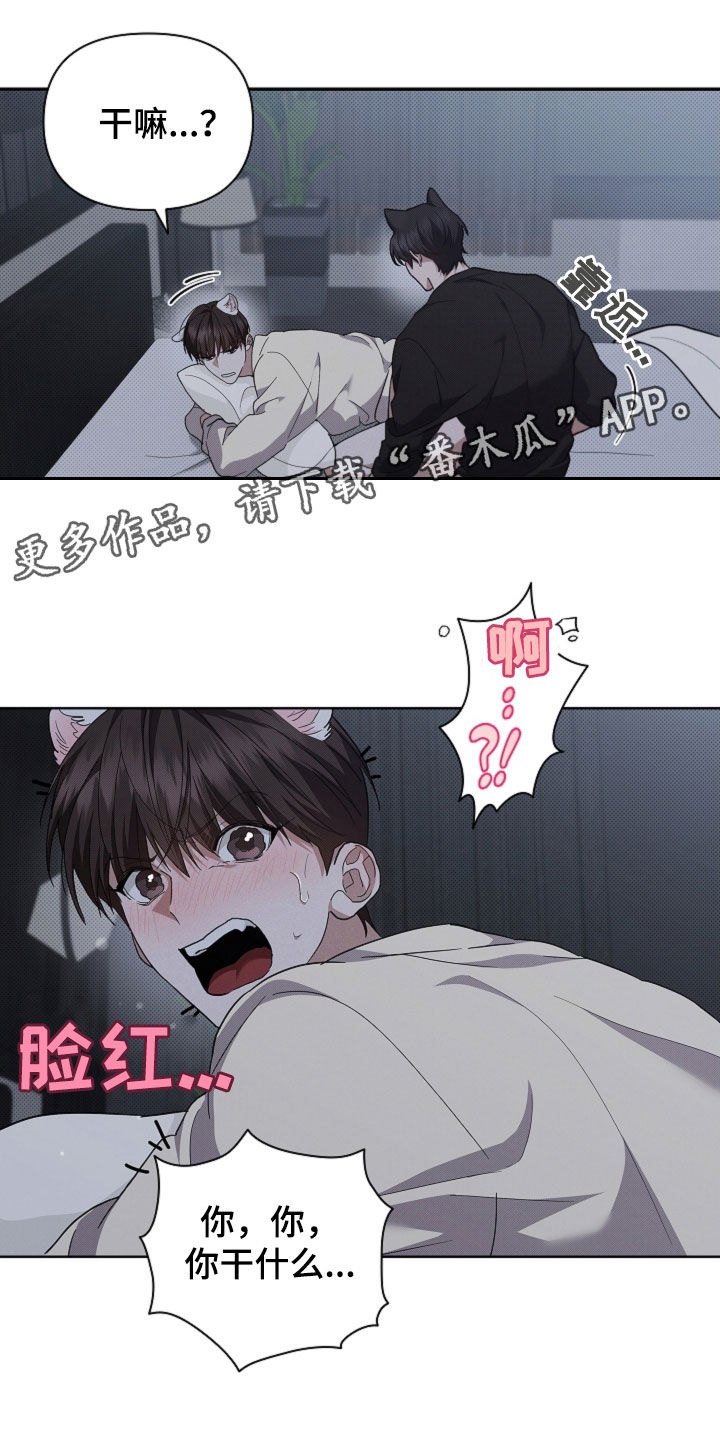 小白狗奇遇记免费漫画下拉式漫画,第60话1图