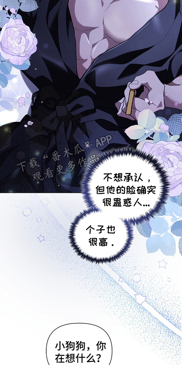 小白狗奇遇记韩漫免费观看全集漫画,第24话1图