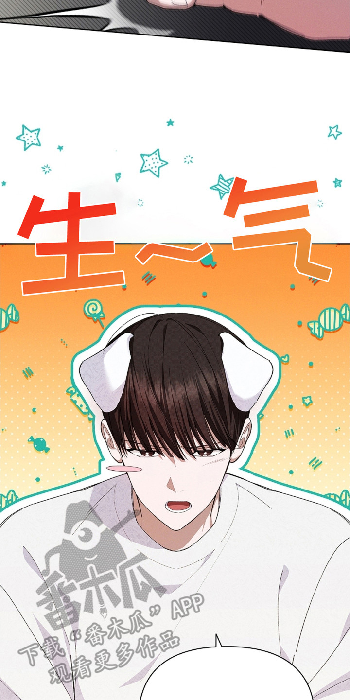 小白狗奇遇记漫画全集漫画,第3话2图