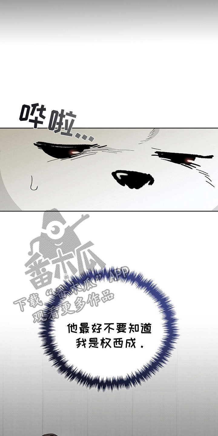 小白狗奇遇记韩漫免费观看全集漫画,第11话2图
