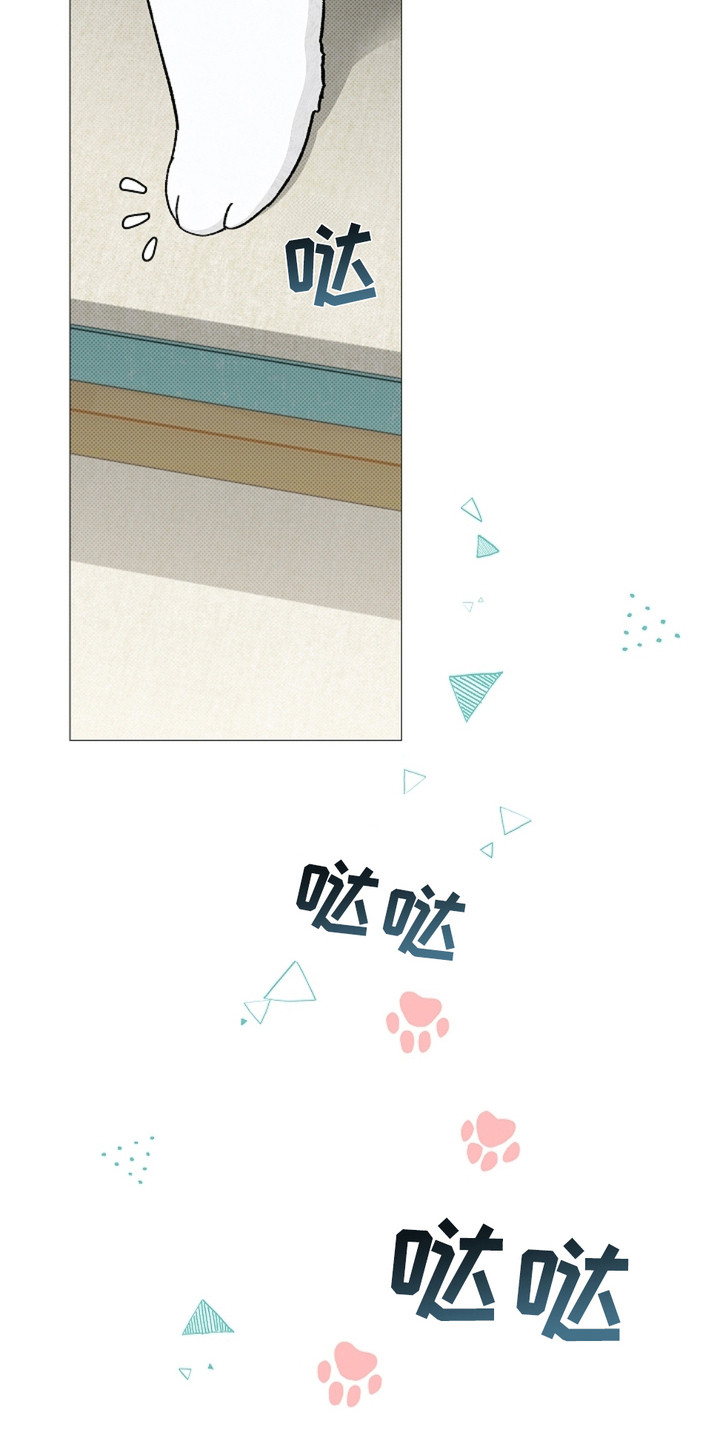 小白狗奇遇记韩漫免费观看全集漫画,第1话2图