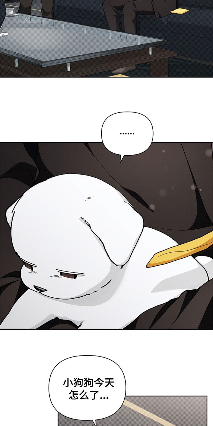 小白狗奇遇记韩漫免费观看全集漫画,第35话1图