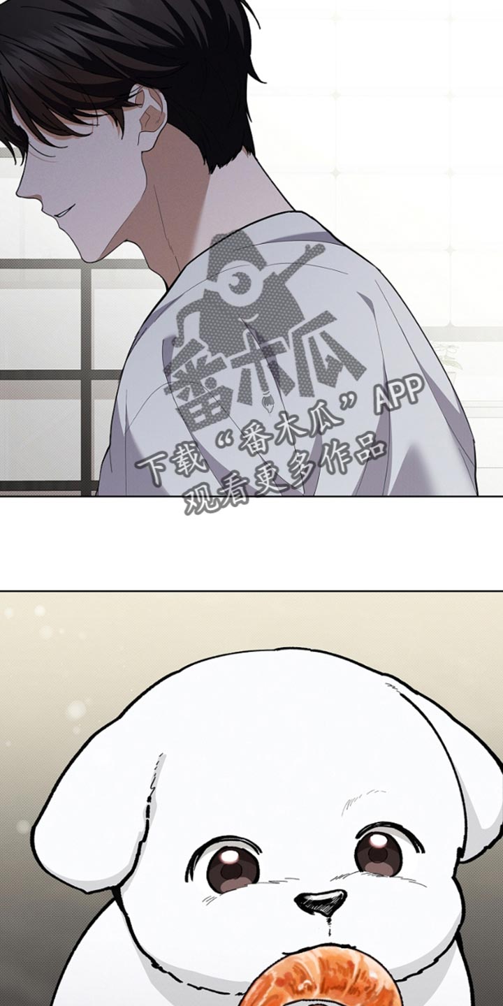 小白狗奇遇记韩漫免费观看全集漫画,第28话1图