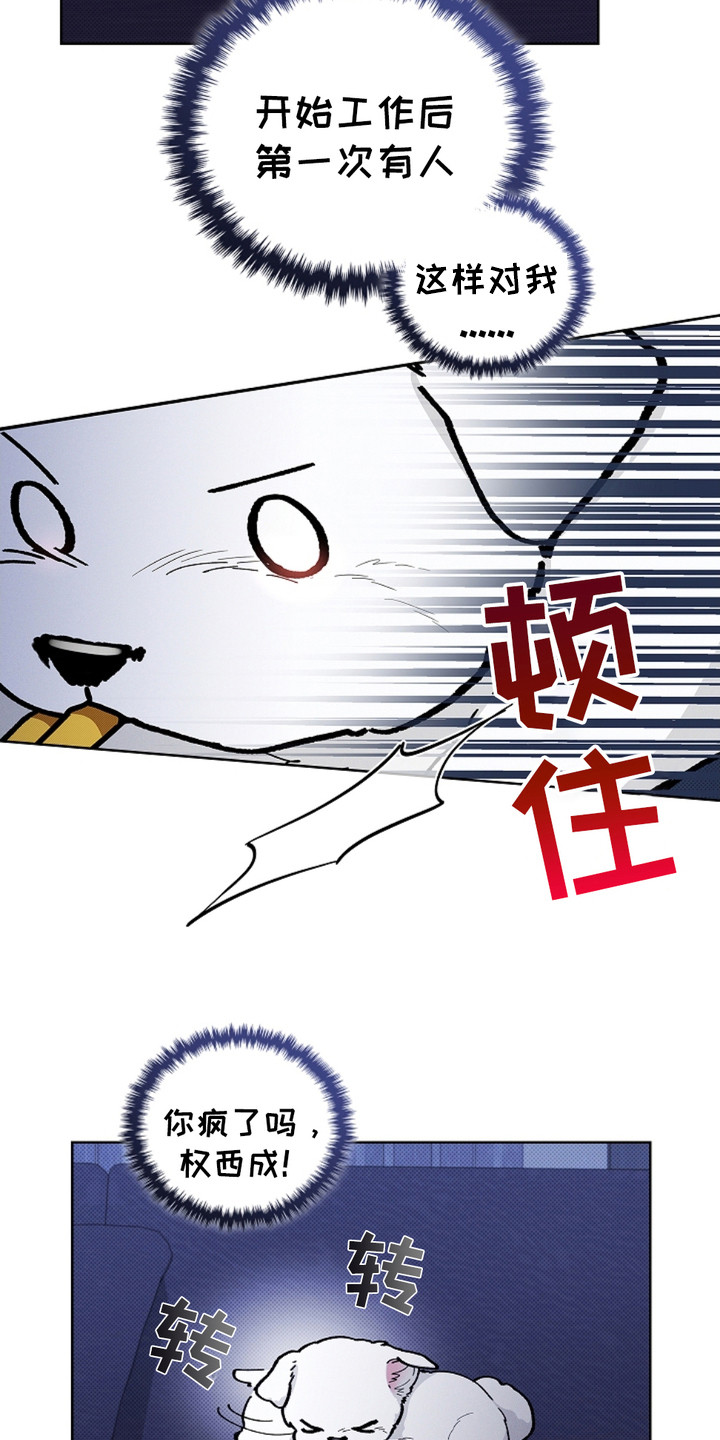 小白狗奇遇记韩漫免费观看全集漫画,第19话1图