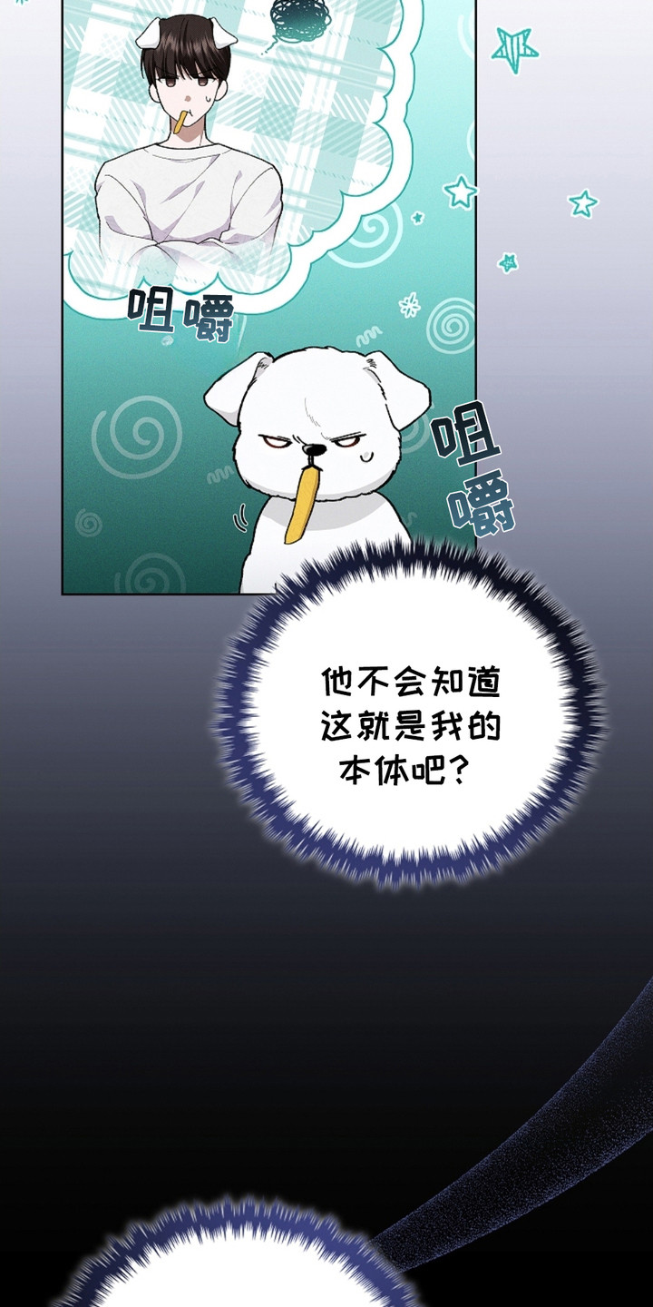 小白狗奇遇记韩漫免费观看全集漫画,第4话2图