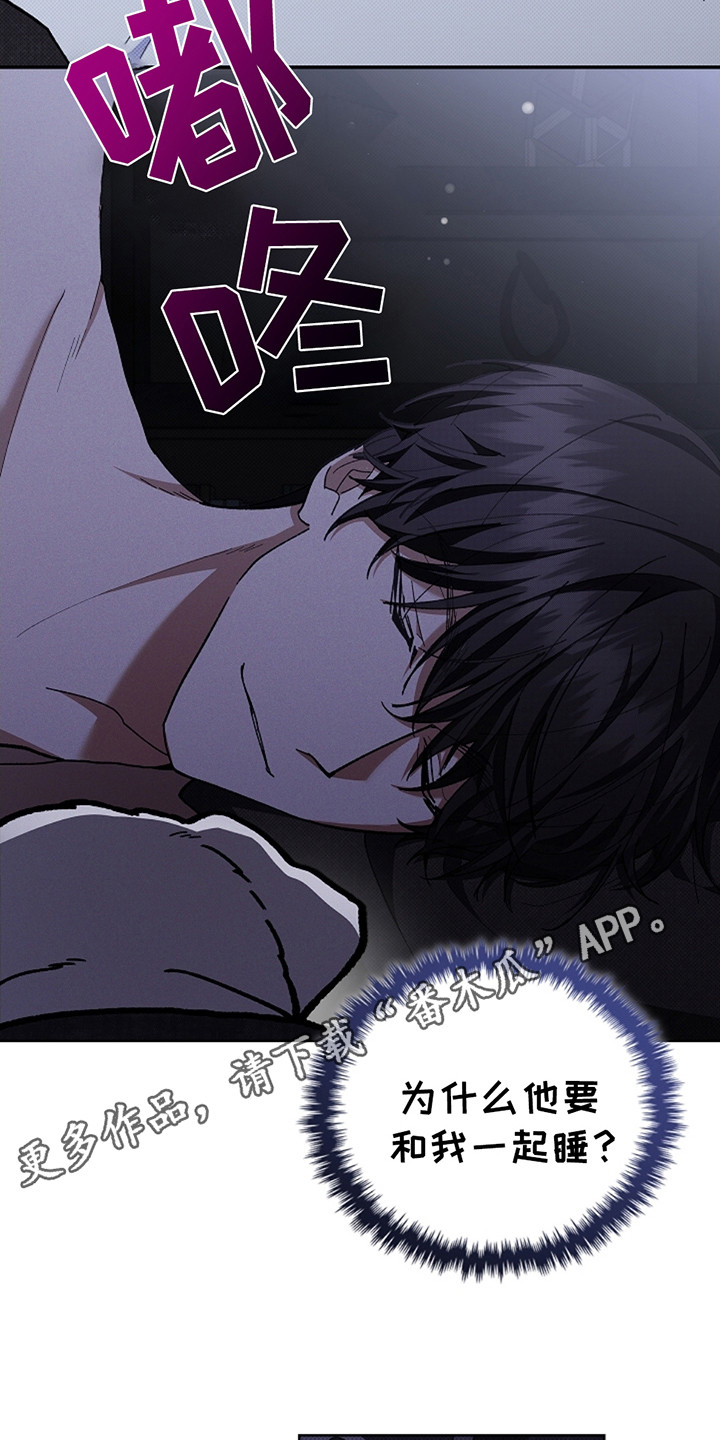 小白狗奇遇记韩漫免费观看全集漫画,第11话1图