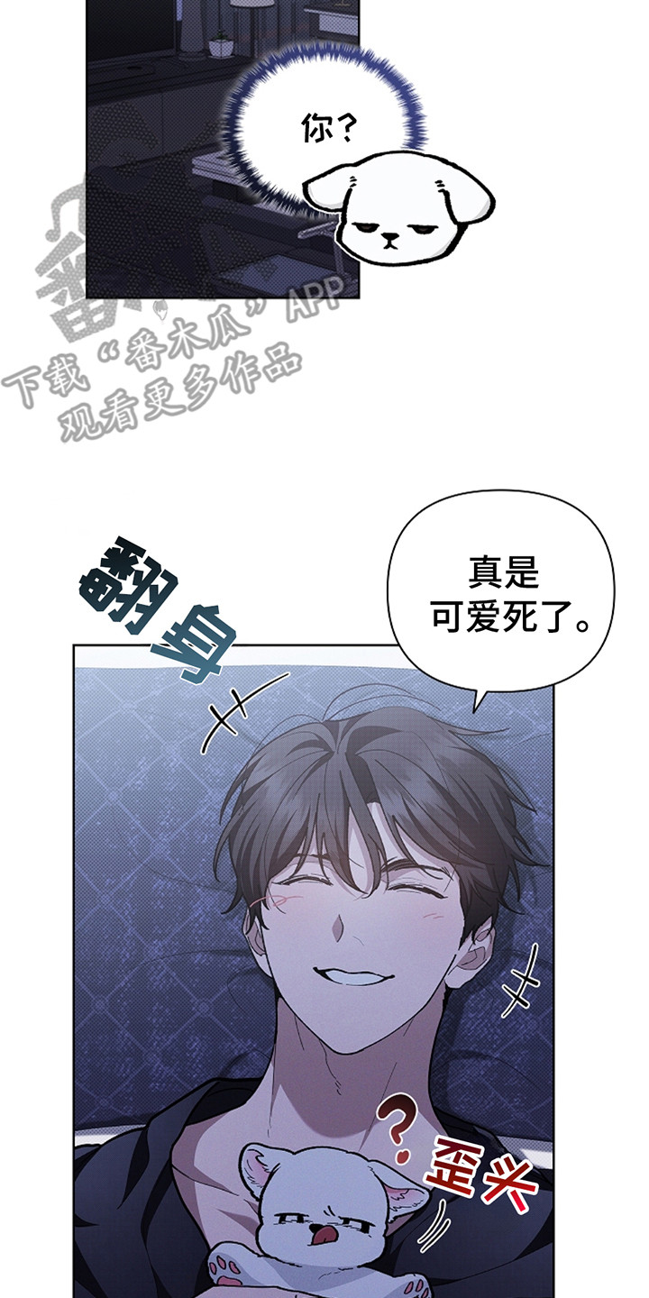 小白狗奇遇记韩漫免费观看全集漫画,第24话2图