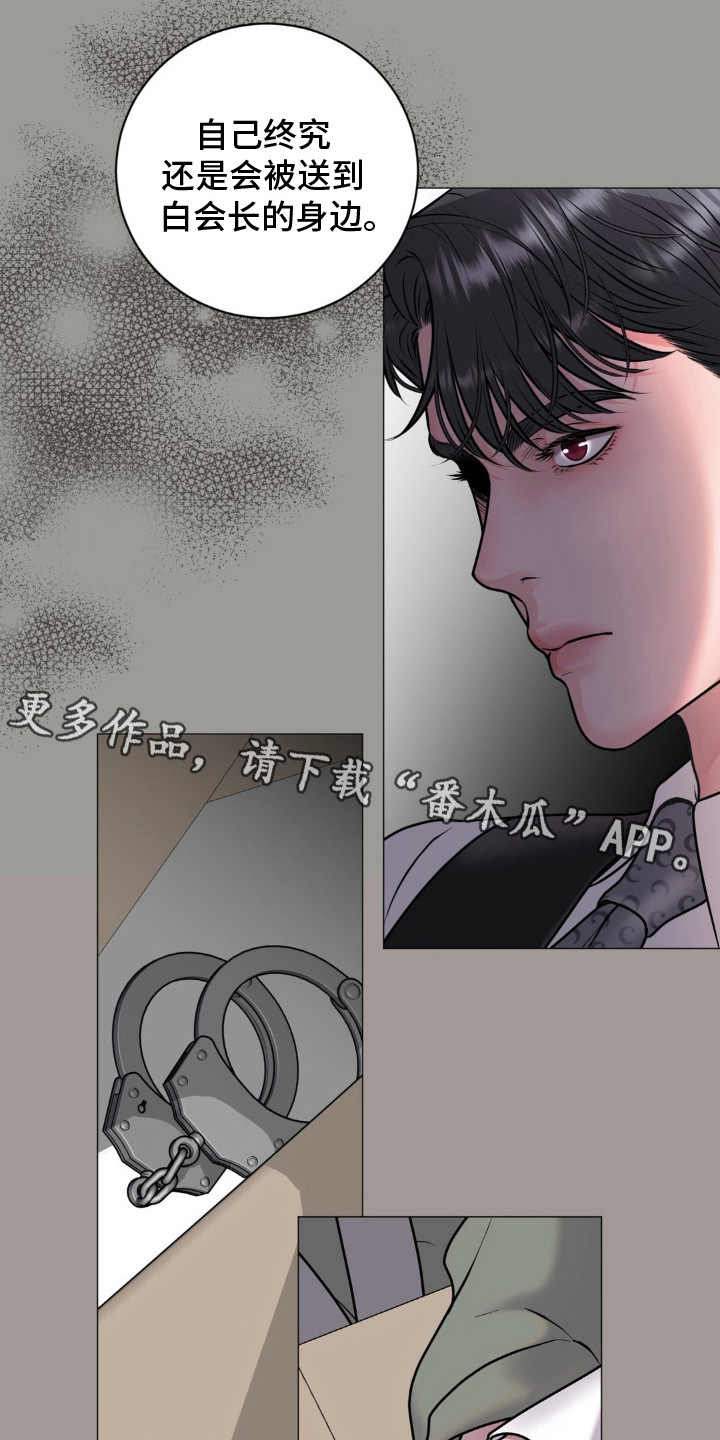 特殊商品类目有流量吗漫画,第17话1图