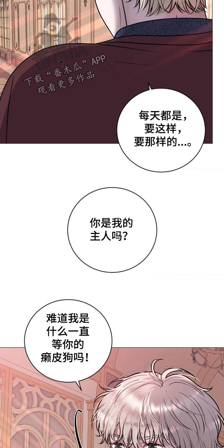 特殊商品经营许可证漫画,第20话2图