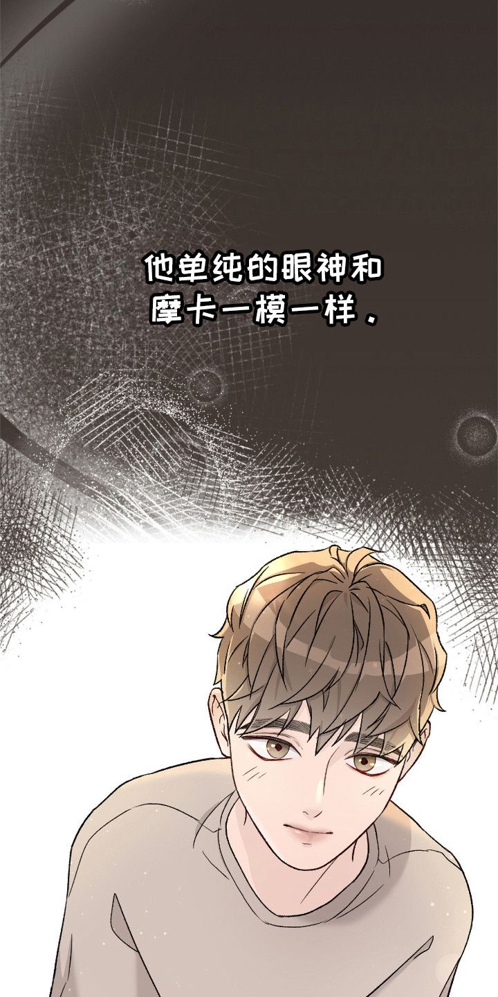 奶狗好吗漫画,第3话1图