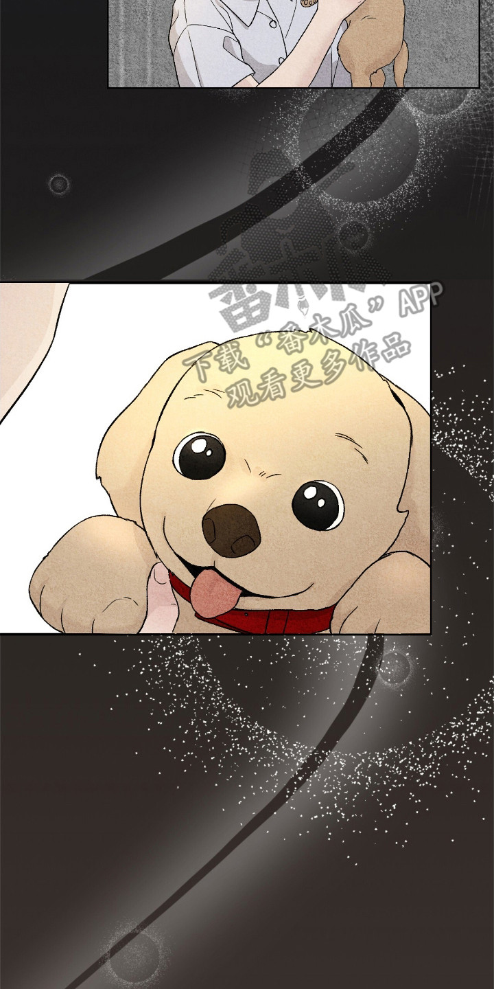 奶狗好吗漫画,第3话2图