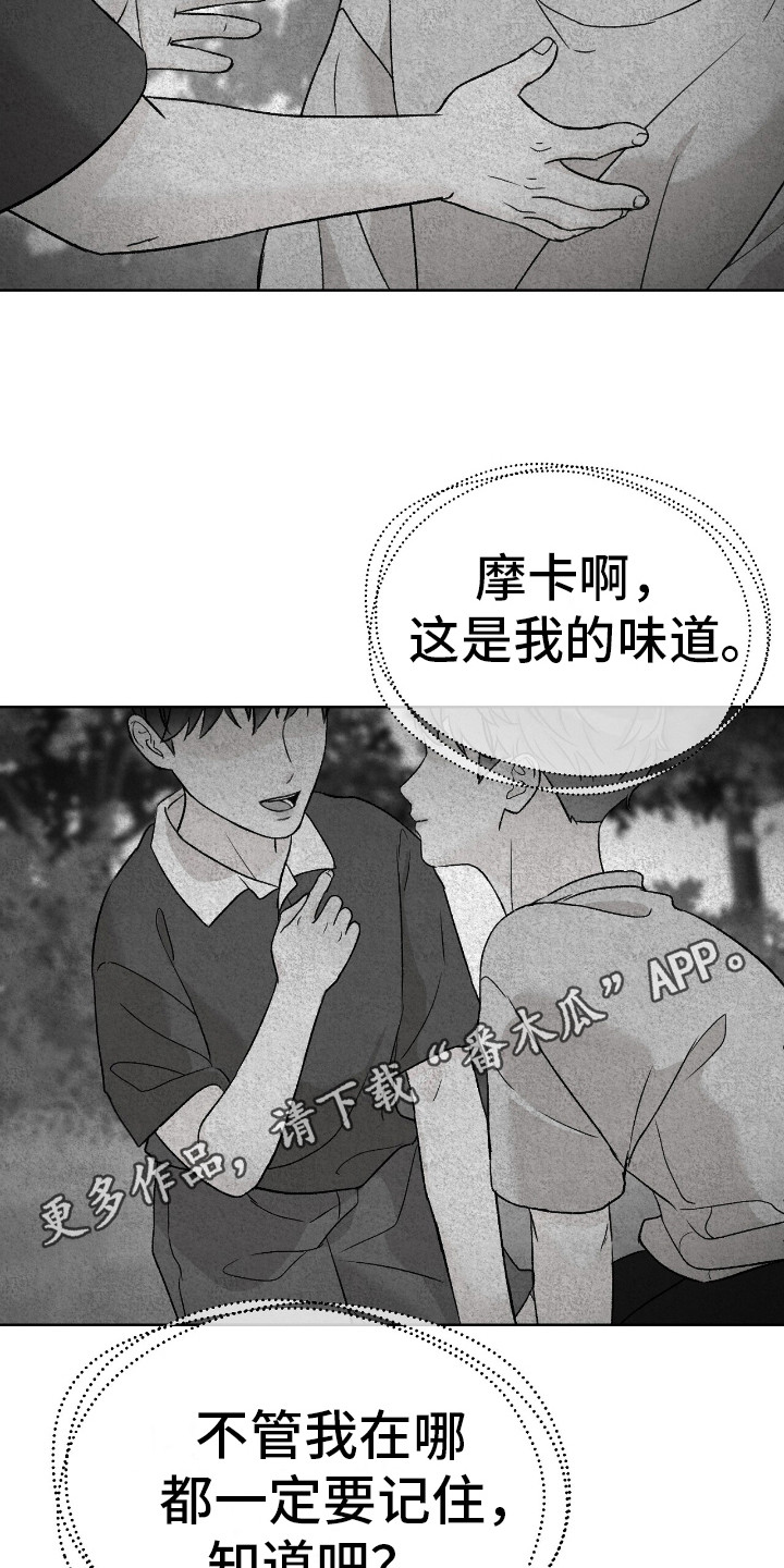 奶狗pop漫画,第2话1图