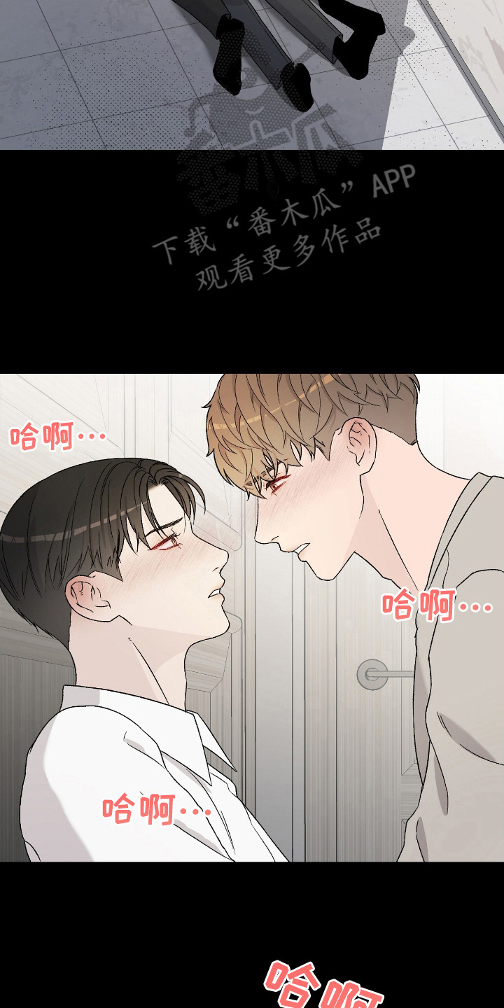 奶狗也疯狂漫画,第29话2图