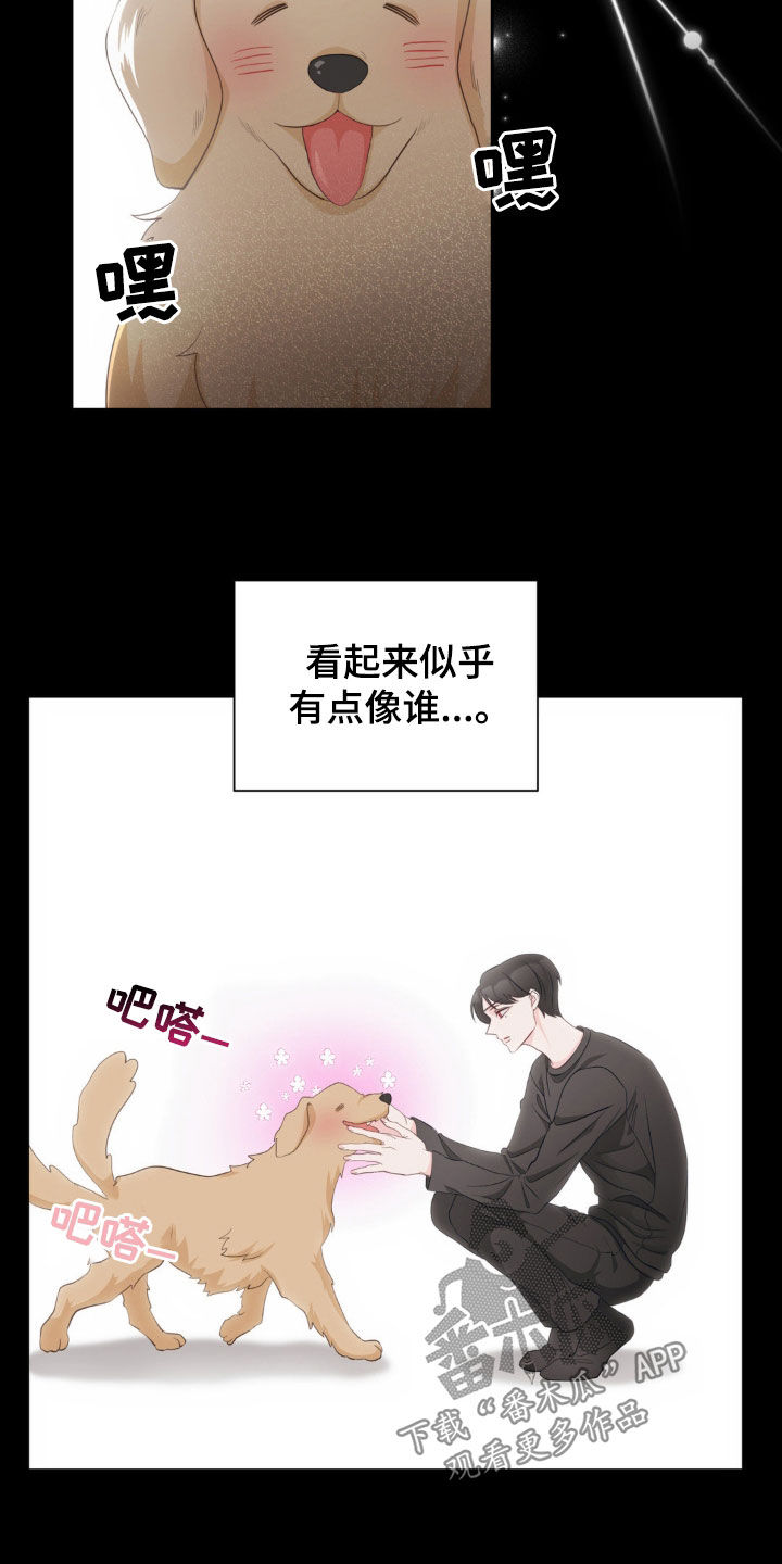 小心我会电到你免费观看漫画,第21话2图