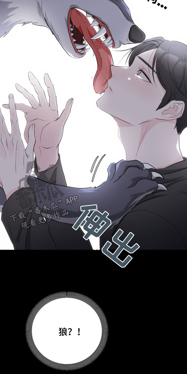 小心我会电到你免费观看漫画,第21话2图