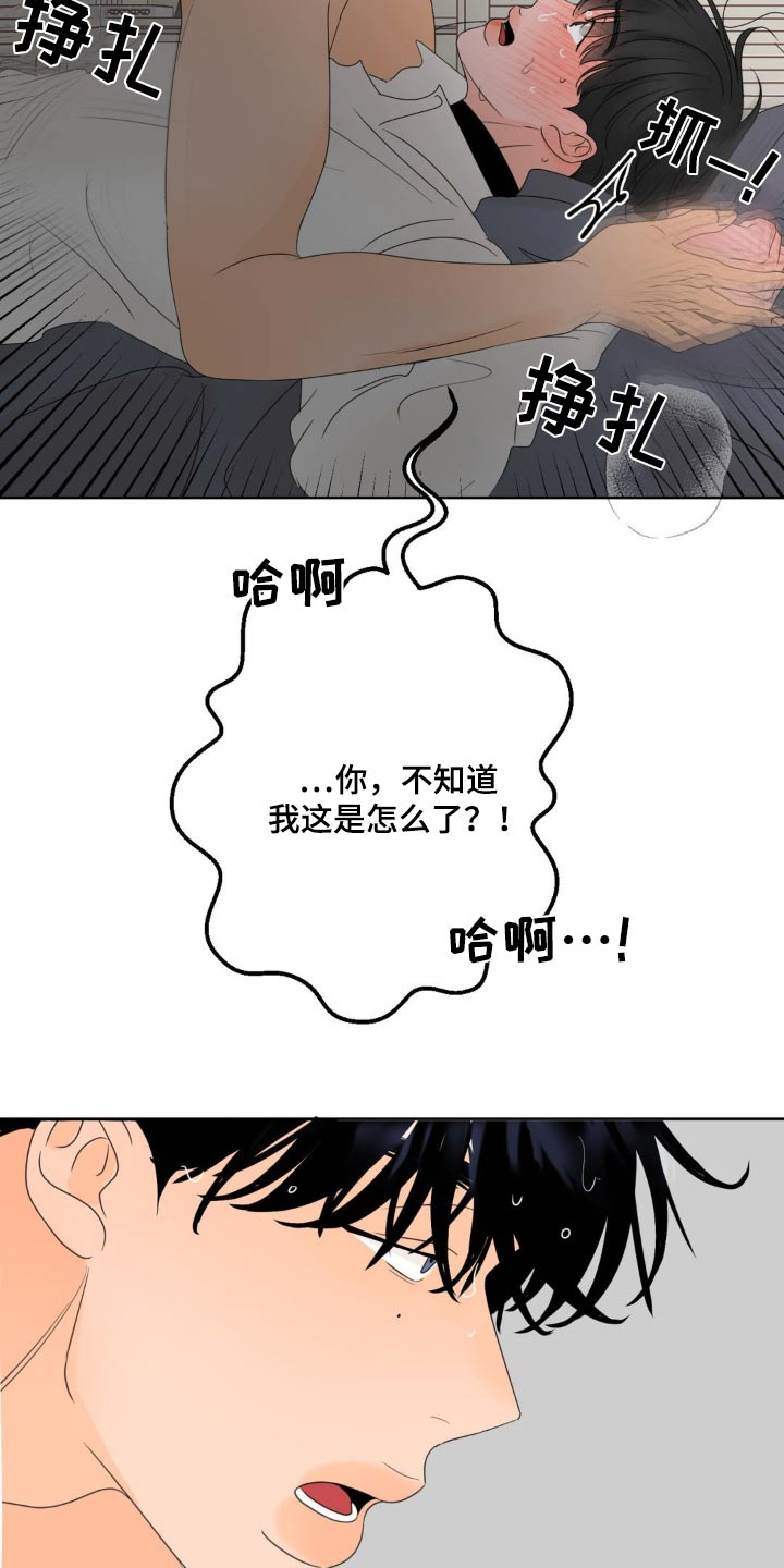 香味百科漫画,第30话2图