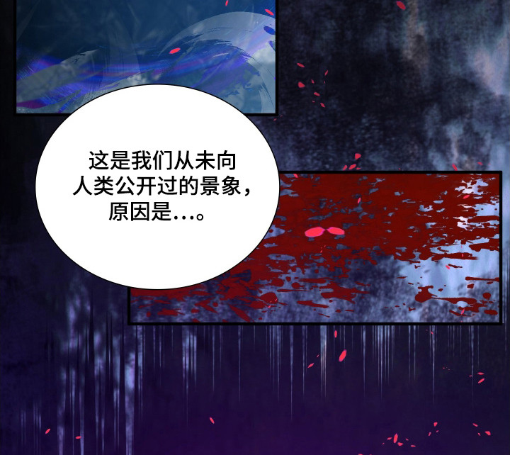 亲爱的翻译官漫画,第44话2图