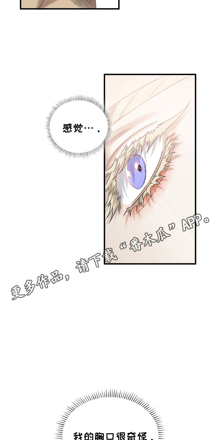 亲爱的翻译官漫画,第53话2图