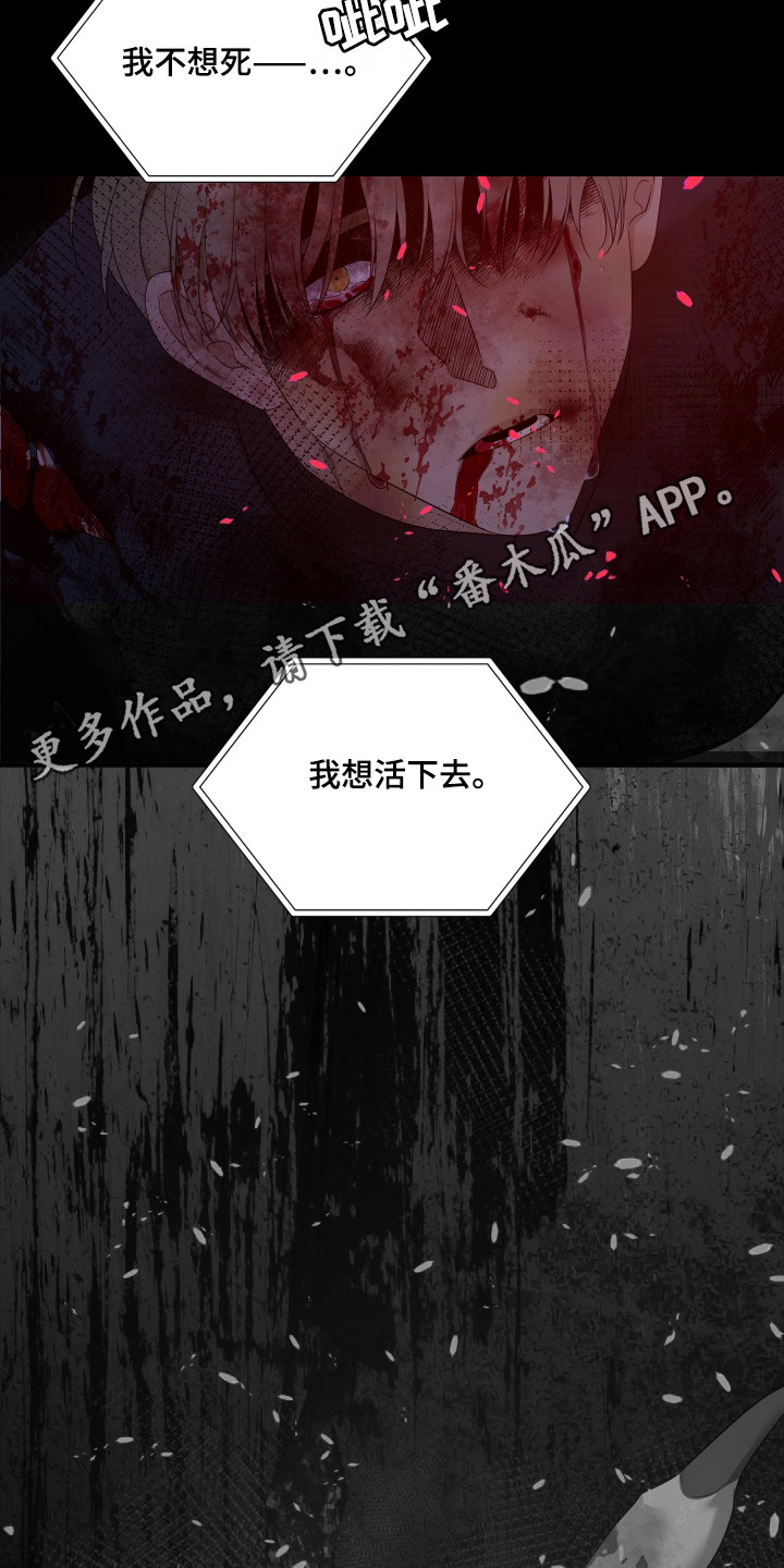 亲爱的翻译官漫画,第44话2图