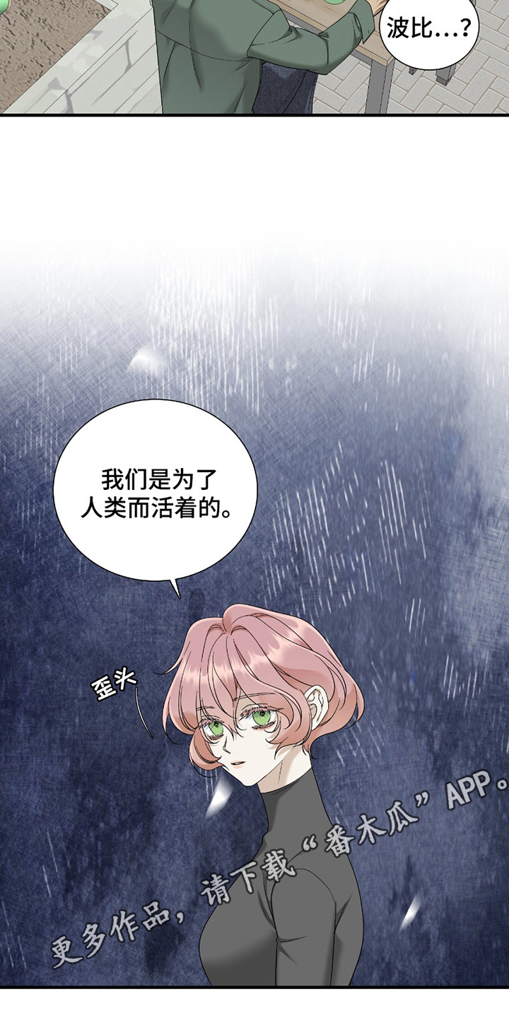 亲爱的夏娃漫画下拉式漫画,第11话1图