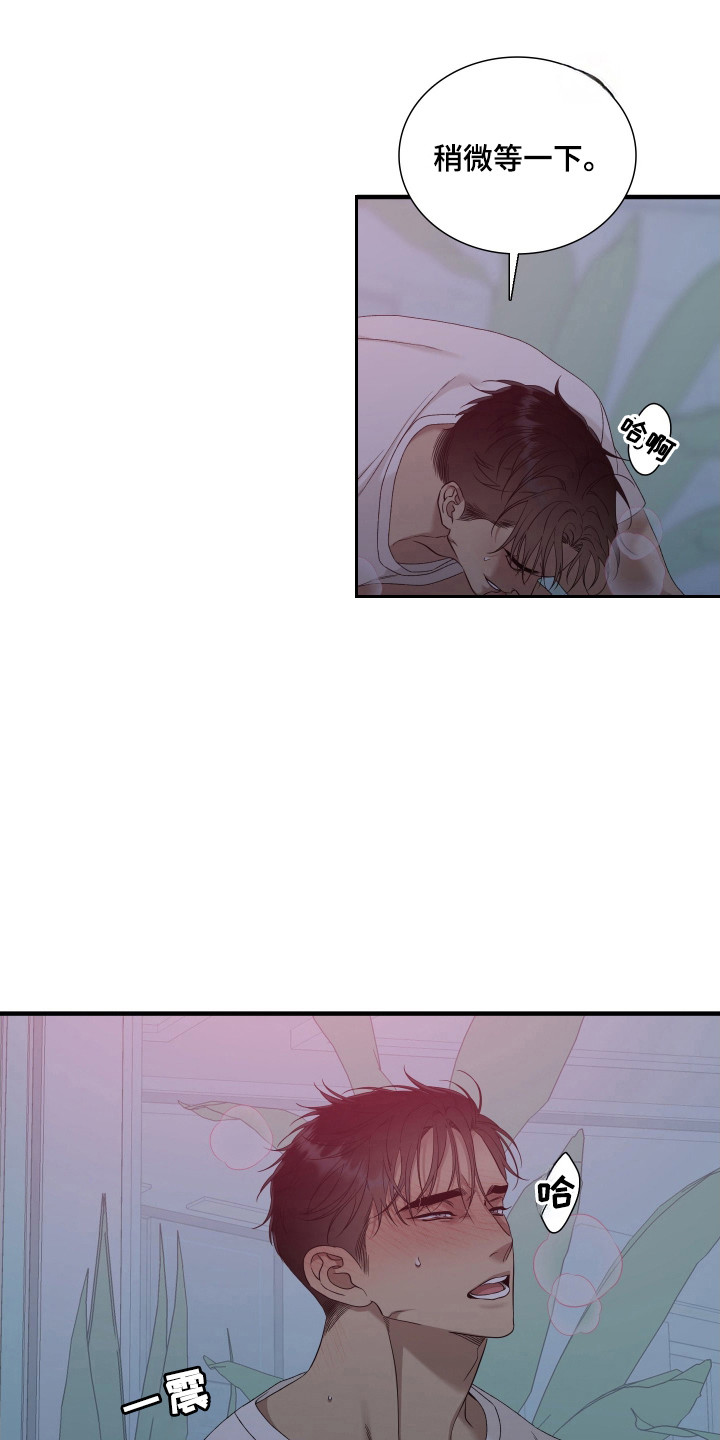 亲爱的翻译官漫画,第49话1图