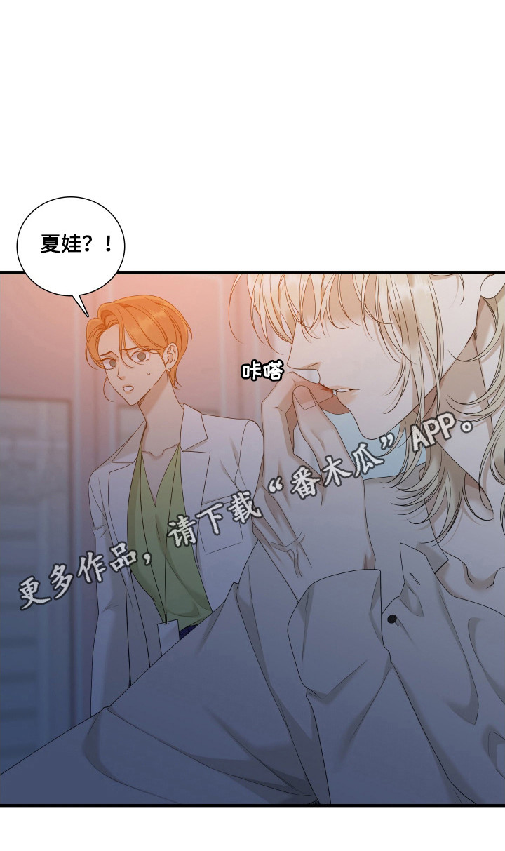 亲爱的翻译官漫画,第42话2图