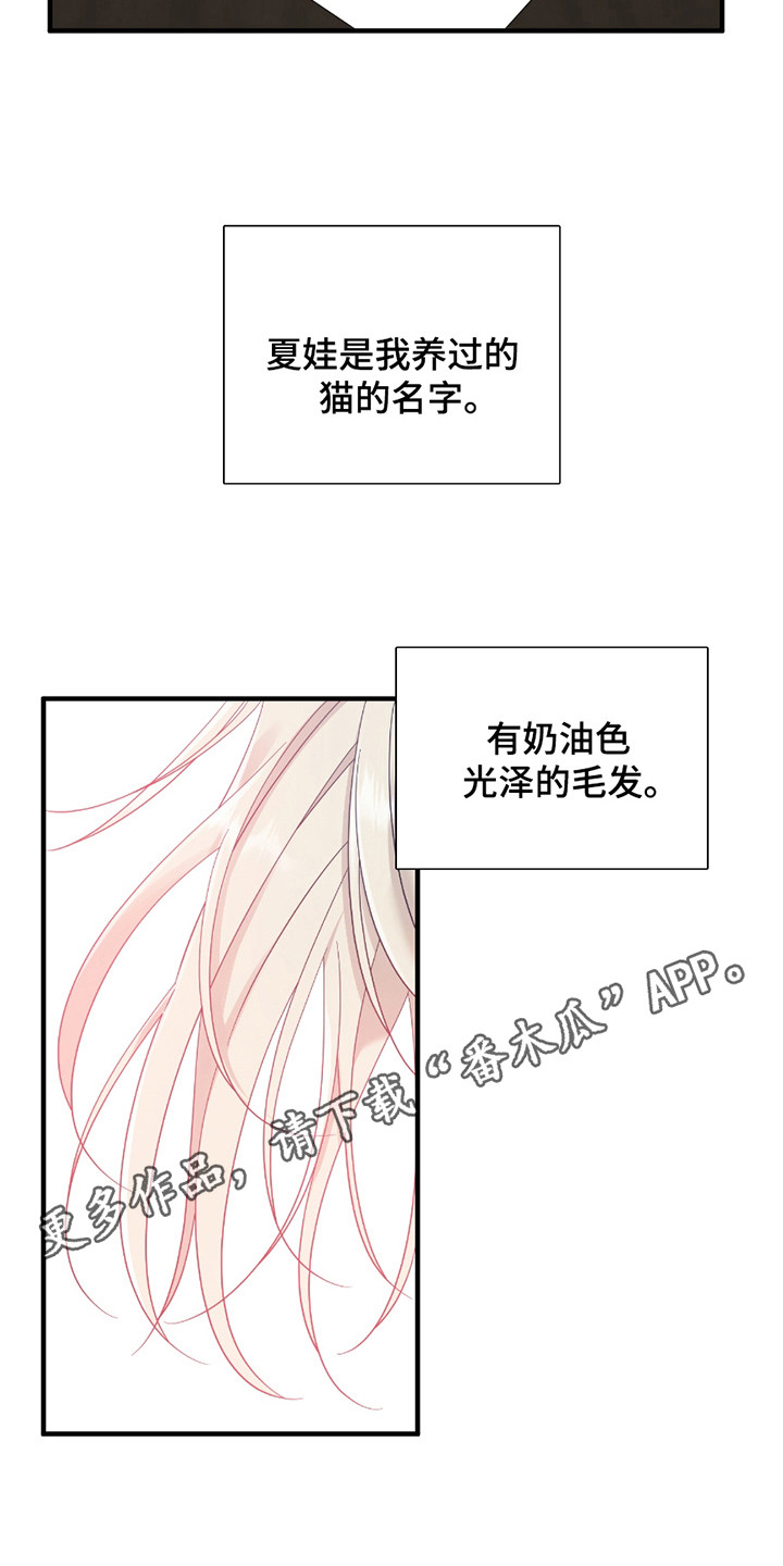 亲爱的夏娃dear00漫画,第8话1图