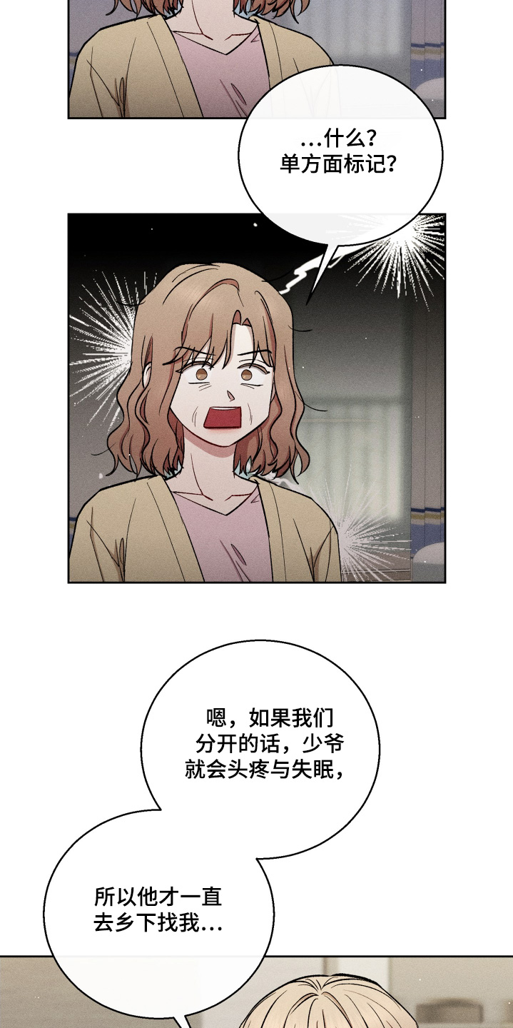 临时搭档电影免费观看漫画,第81话1图