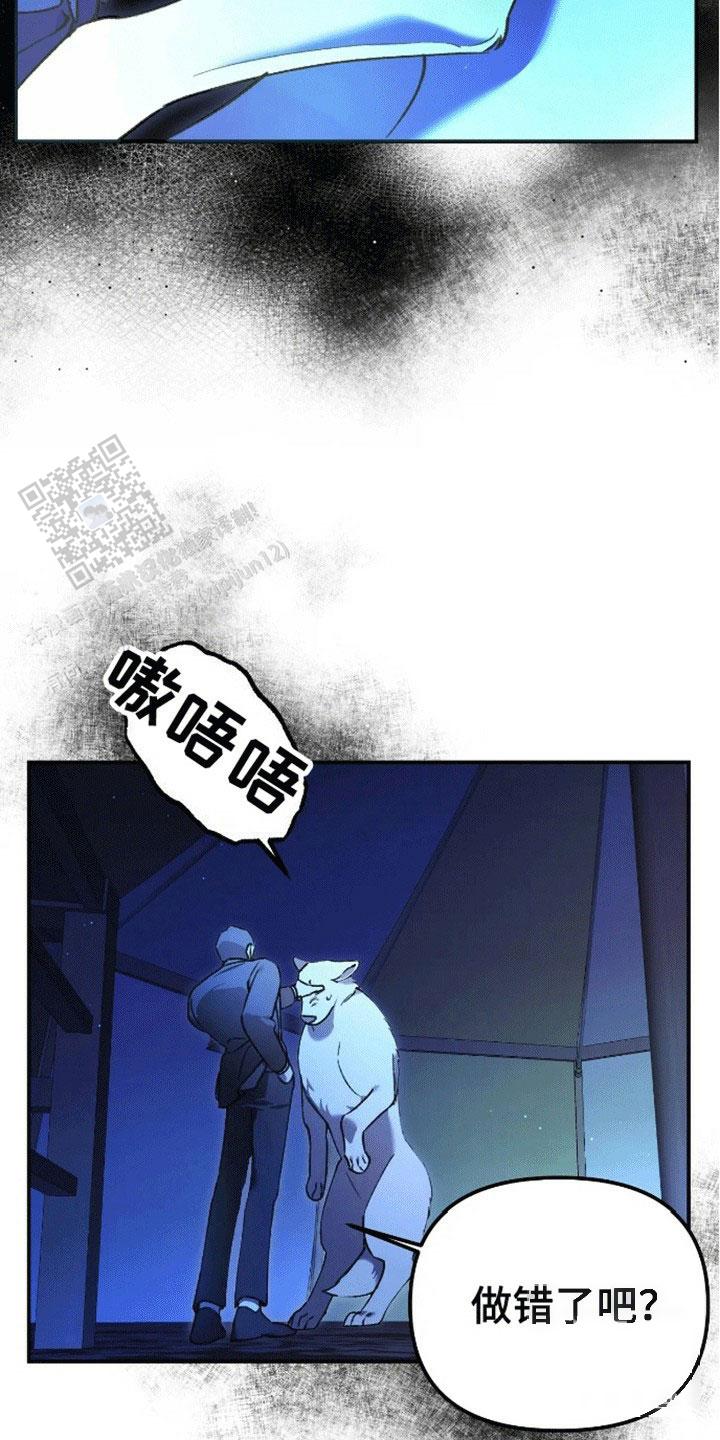 笼中白狼韩漫小说漫画,第5话2图