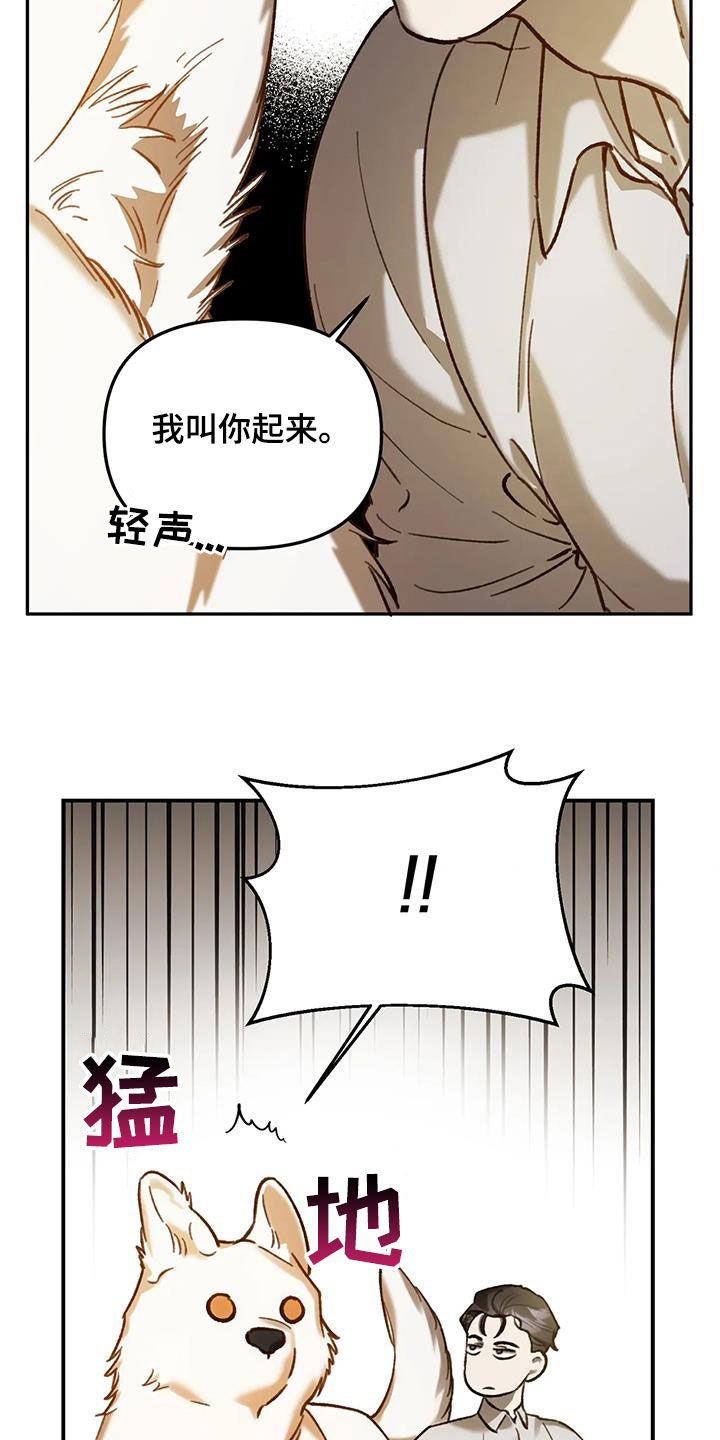 笼中白狼韩漫小说漫画,第33话2图