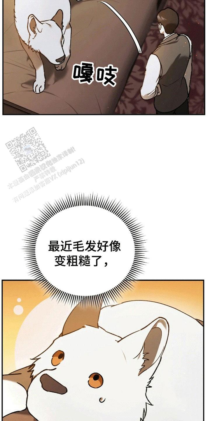 笼中白狼漫画叫什么漫画,第7话2图