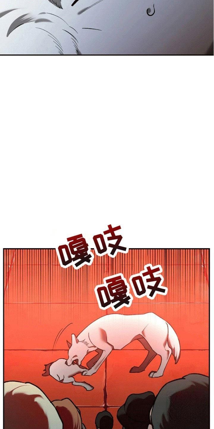 笼中白狼韩漫小说漫画,第3话2图