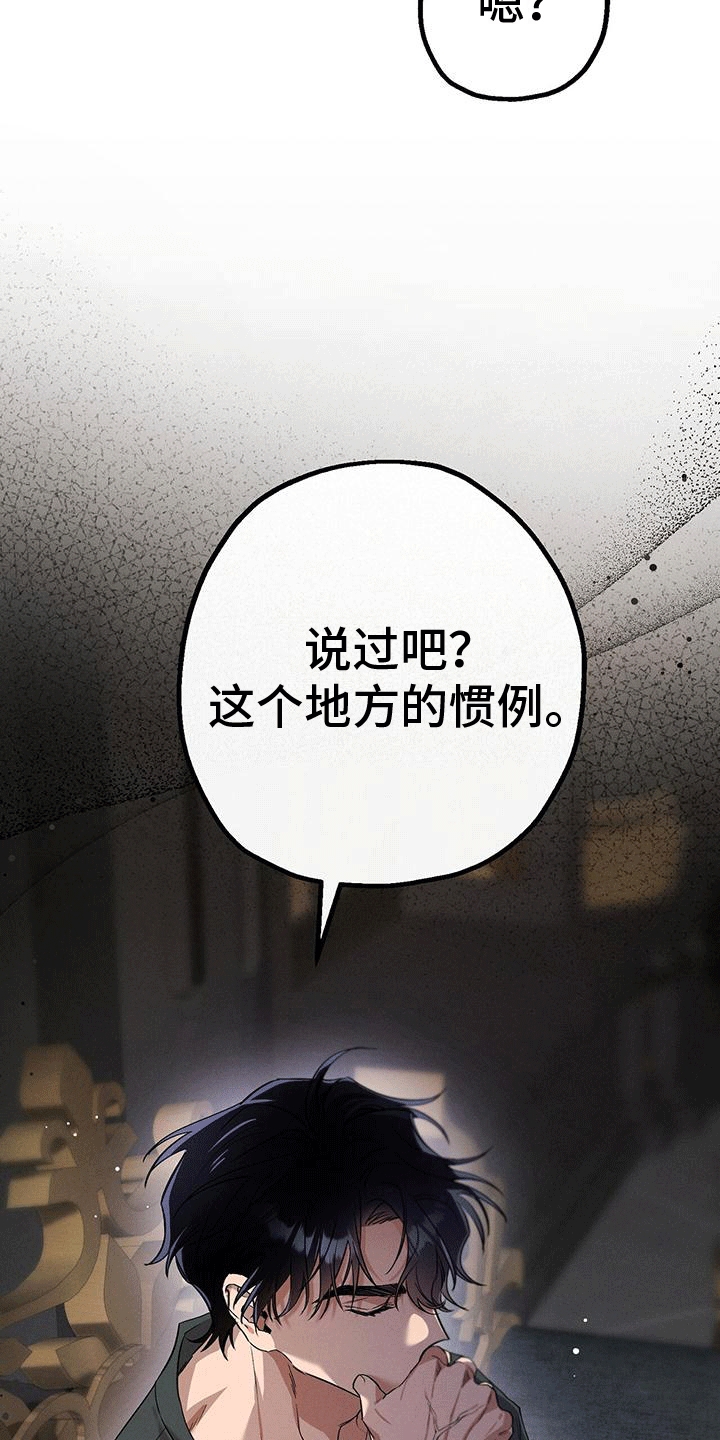 城堡里的生活漫画,第17章：惯例2图