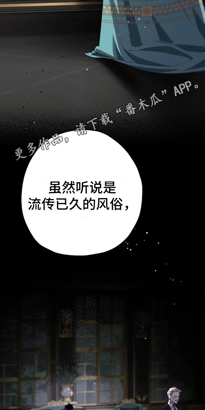 城堡里的生活漫画,第17章：惯例2图