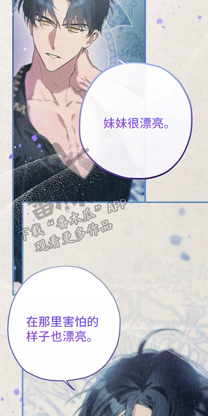 城堡里面的公主漫画,第15章：哥哥生气2图