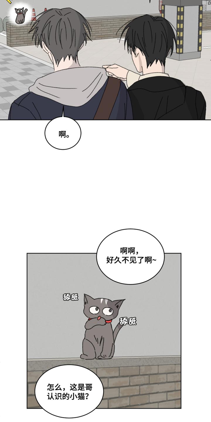 缺少浪漫漫画,第41话2图