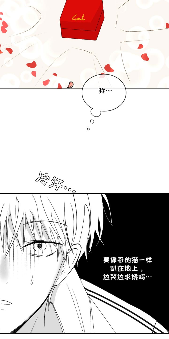 缺少浪漫漫画,第59话2图