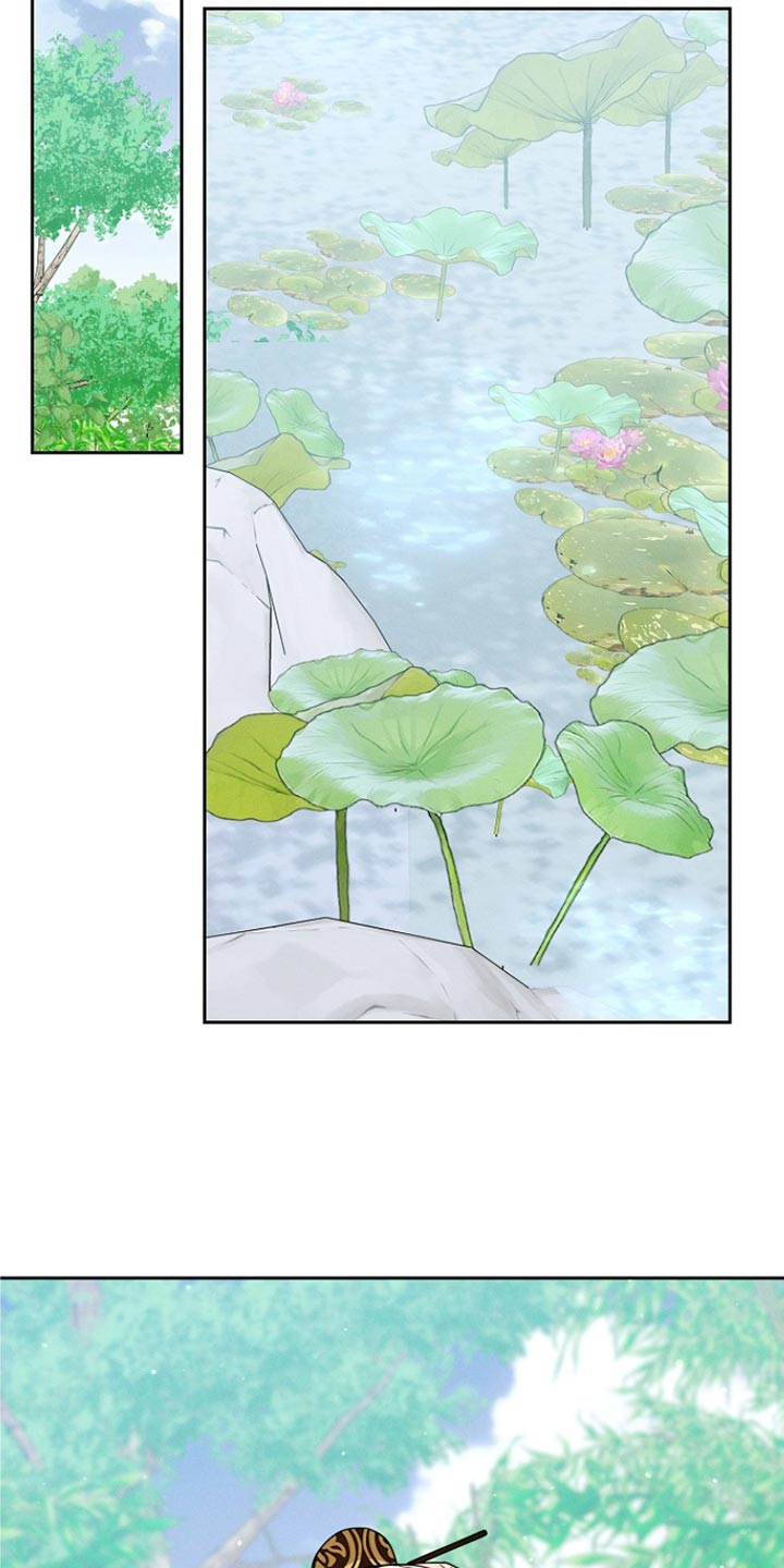 陆地藤壶是什么意思漫画,第52话1图