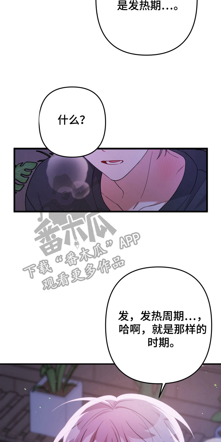 灰熊的玫瑰住宅漫画免费阅读漫画,第46话2图