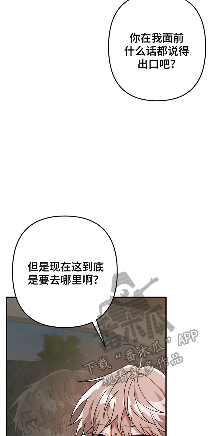 玫瑰熊在哪里漫画,第3话2图