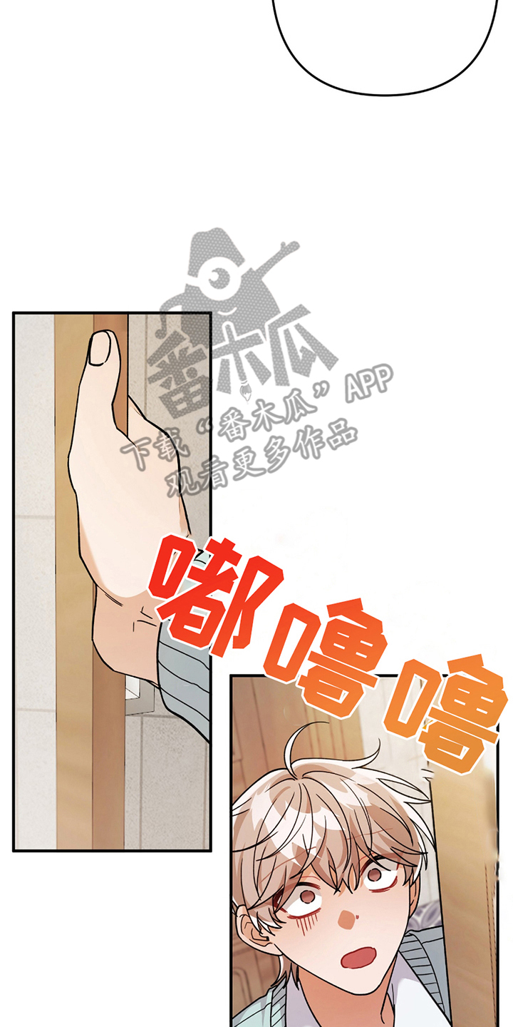 灰熊的玫瑰住宅漫画漫画,第11话2图