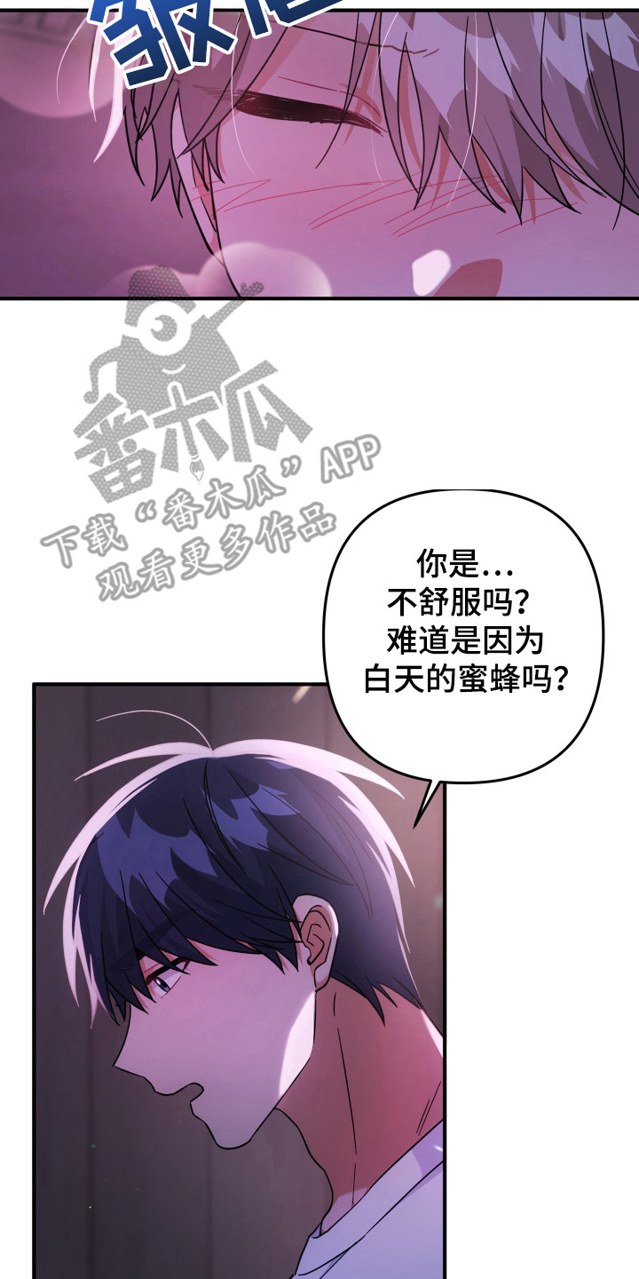 灰熊的玫瑰住宅漫画免费阅读漫画,第46话1图