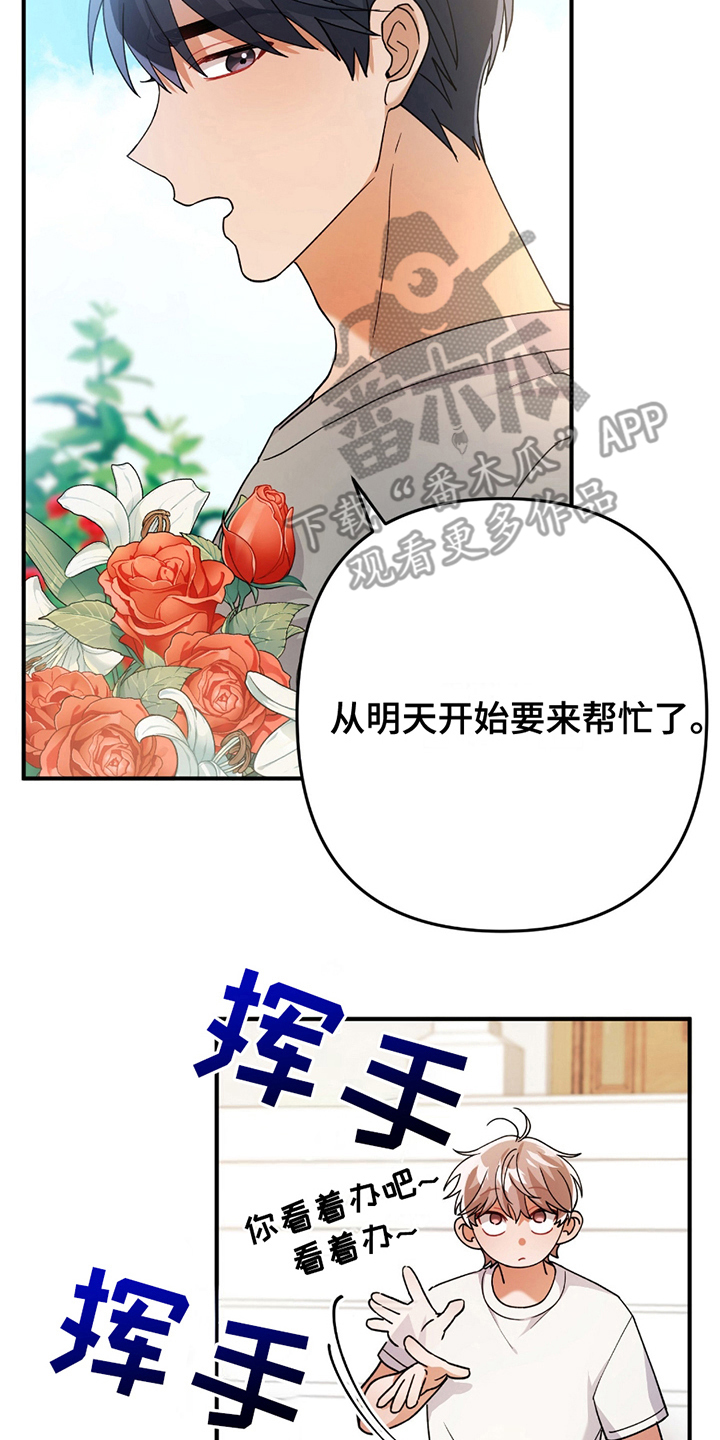 灰熊的玫瑰住宅漫画免费阅读漫画,第13话2图