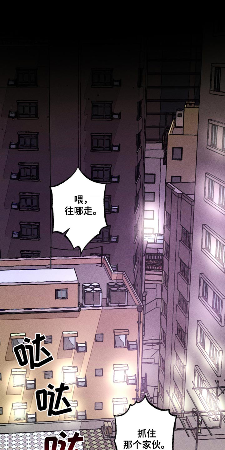 罪孽滔天漫画在满天星叫什么漫画,第43话1图